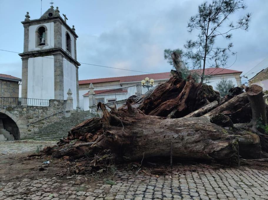 Casa Angulosa Covilhã Exteriör bild
